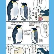 ヒメ日記 2025/07/10 00:23 投稿 体験なな ミセスコレクション