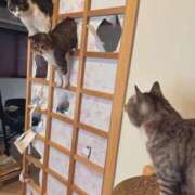 ヒメ日記 2025/07/11 23:53 投稿 体験なな ミセスコレクション