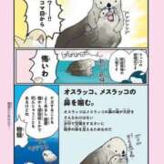 ヒメ日記 2025/07/12 02:43 投稿 体験なな ミセスコレクション