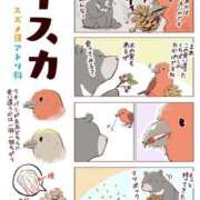 ヒメ日記 2025/07/12 21:13 投稿 体験なな ミセスコレクション