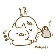 ヒメ日記 2025/07/13 02:13 投稿 体験なな ミセスコレクション