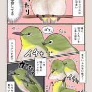 ヒメ日記 2025/07/17 12:04 投稿 体験なな ミセスコレクション