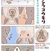 ヒメ日記 2025/07/17 22:23 投稿 体験なな ミセスコレクション