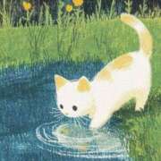 ヒメ日記 2025/07/18 08:13 投稿 体験なな ミセスコレクション