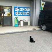 ヒメ日記 2025/07/18 12:06 投稿 体験なな ミセスコレクション