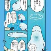 ヒメ日記 2025/07/19 01:43 投稿 体験なな ミセスコレクション