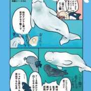 ヒメ日記 2025/07/19 02:13 投稿 体験なな ミセスコレクション