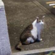 ヒメ日記 2025/07/20 18:17 投稿 体験なな ミセスコレクション