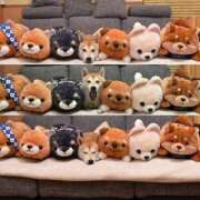 ヒメ日記 2025/07/22 21:23 投稿 体験なな ミセスコレクション