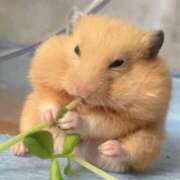 ヒメ日記 2025/07/24 12:05 投稿 体験なな ミセスコレクション