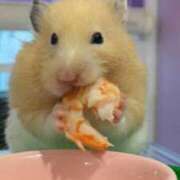 ヒメ日記 2025/07/24 22:25 投稿 体験なな ミセスコレクション