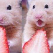 ヒメ日記 2025/07/24 22:30 投稿 体験なな ミセスコレクション