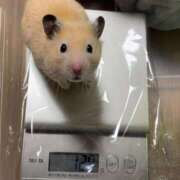 ヒメ日記 2025/07/24 23:53 投稿 体験なな ミセスコレクション