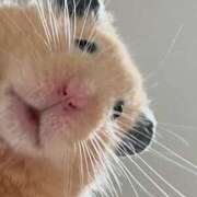 ヒメ日記 2025/07/25 08:03 投稿 体験なな ミセスコレクション