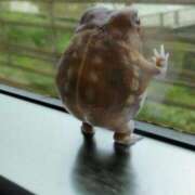 ヒメ日記 2025/07/25 12:05 投稿 体験なな ミセスコレクション