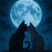 ヒメ日記 2025/07/26 01:43 投稿 体験なな ミセスコレクション