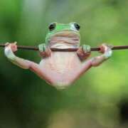 ヒメ日記 2025/07/26 12:22 投稿 体験なな ミセスコレクション