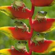 ヒメ日記 2025/07/26 23:59 投稿 体験なな ミセスコレクション