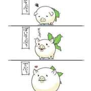 ヒメ日記 2025/07/27 08:03 投稿 体験なな ミセスコレクション