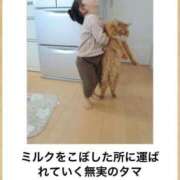 ヒメ日記 2025/07/29 08:03 投稿 体験なな ミセスコレクション