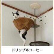 ヒメ日記 2025/07/29 12:11 投稿 体験なな ミセスコレクション