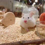 ヒメ日記 2025/07/29 20:03 投稿 体験なな ミセスコレクション