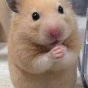 ヒメ日記 2025/07/30 00:53 投稿 体験なな ミセスコレクション