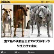 ヒメ日記 2025/07/30 01:13 投稿 体験なな ミセスコレクション