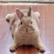 ヒメ日記 2025/07/30 08:03 投稿 体験なな ミセスコレクション