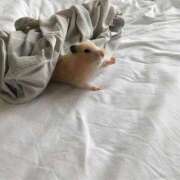 ヒメ日記 2025/07/30 23:53 投稿 体験なな ミセスコレクション