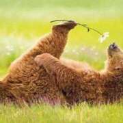 ヒメ日記 2025/07/30 23:58 投稿 体験なな ミセスコレクション