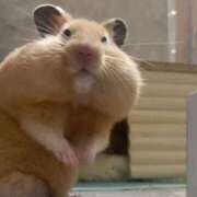 ヒメ日記 2025/07/31 00:11 投稿 体験なな ミセスコレクション