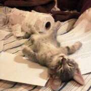 ヒメ日記 2025/07/31 08:03 投稿 体験なな ミセスコレクション