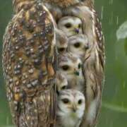 ヒメ日記 2025/07/31 12:05 投稿 体験なな ミセスコレクション