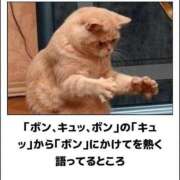 ヒメ日記 2025/07/31 19:26 投稿 体験なな ミセスコレクション