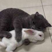 ヒメ日記 2025/07/31 21:03 投稿 体験なな ミセスコレクション