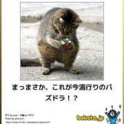 ヒメ日記 2025/07/31 22:13 投稿 体験なな ミセスコレクション