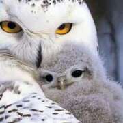 ヒメ日記 2025/08/01 08:13 投稿 体験なな ミセスコレクション