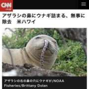 ヒメ日記 2025/08/01 12:04 投稿 体験なな ミセスコレクション