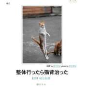 ヒメ日記 2025/08/02 00:29 投稿 体験なな ミセスコレクション