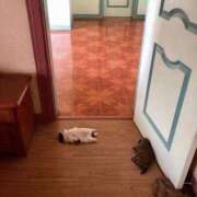 ヒメ日記 2025/08/02 20:50 投稿 体験なな ミセスコレクション