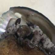 ヒメ日記 2025/08/02 21:03 投稿 体験なな ミセスコレクション