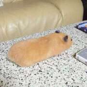 ヒメ日記 2025/08/02 22:33 投稿 体験なな ミセスコレクション