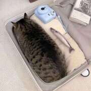 ヒメ日記 2025/08/03 08:13 投稿 体験なな ミセスコレクション