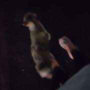 ヒメ日記 2025/08/03 18:03 投稿 体験なな ミセスコレクション