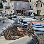 ヒメ日記 2025/08/05 08:03 投稿 体験なな ミセスコレクション