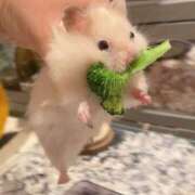 ヒメ日記 2025/08/05 12:13 投稿 体験なな ミセスコレクション