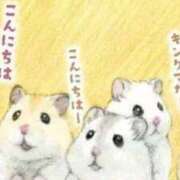 ヒメ日記 2025/08/06 01:23 投稿 体験なな ミセスコレクション