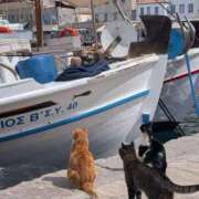 ヒメ日記 2025/08/07 00:03 投稿 体験なな ミセスコレクション