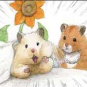 ヒメ日記 2025/08/07 17:44 投稿 体験なな ミセスコレクション